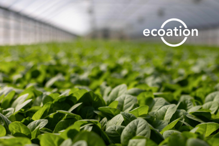 Ecoation awarded patent in the U.S.