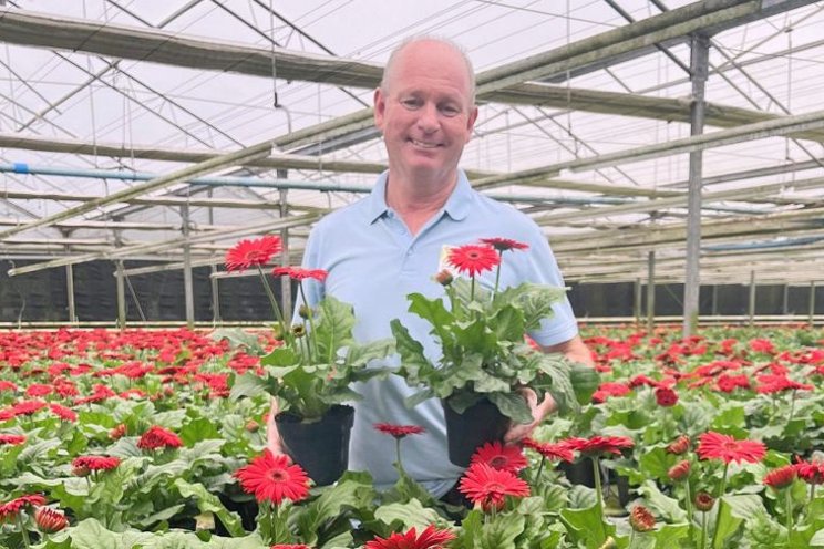 Schoneveld Breeding presents a new standard in gerbera Schoneveld Breeding presents a new standard in gerbera