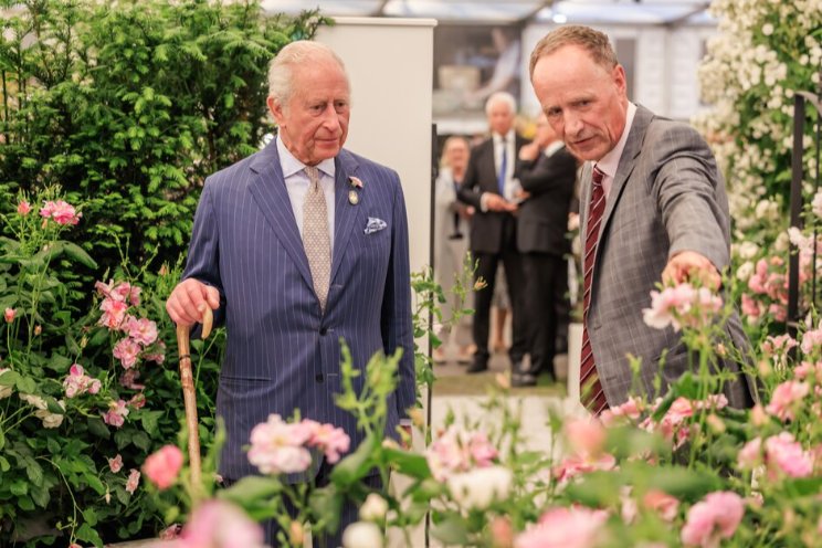 RHS Chelsea Flower Show 2025: Planting ideas on a world stage RHS Chelsea Flower Show 2025: Planting ideas on a world stage