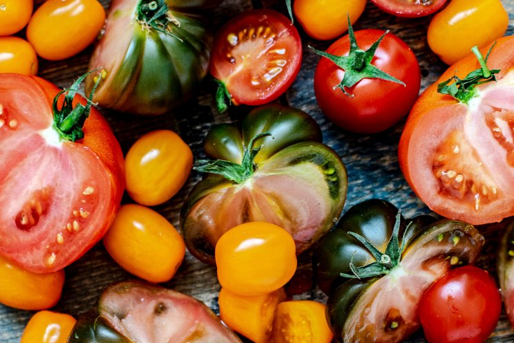 GM tomatoes are coming back, but this time they’re purple