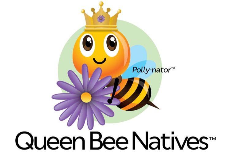 The new pollinator-friendly native plants