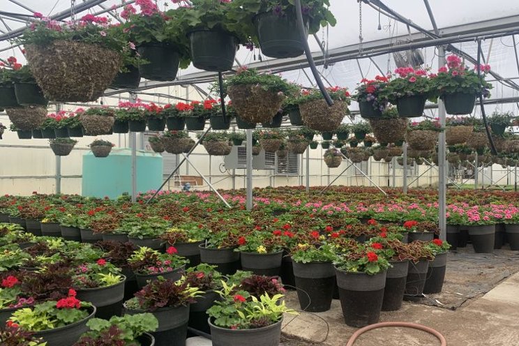 How greenhouse energy monitoring increases profits How greenhouse energy monitoring increases profits