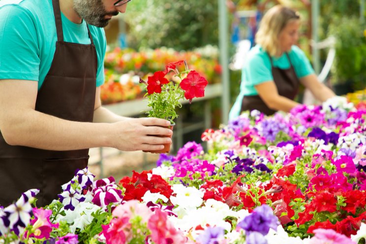 FlowerTrials 2025 to highlight plant innovations FlowerTrials 2025 to highlight plant innovations