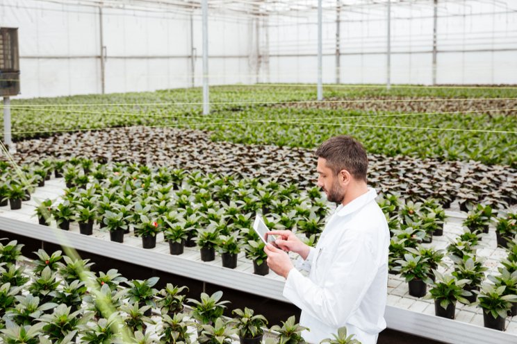 A checklist for preparing your greenhouse for winter A checklist for preparing your greenhouse for winter