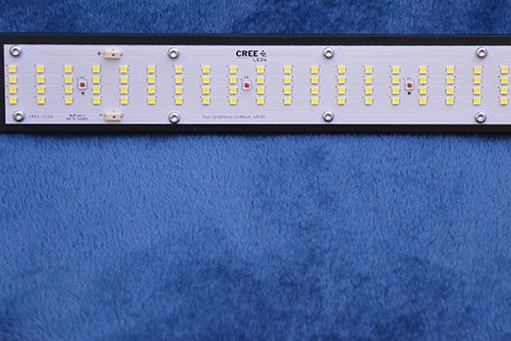 Horticulture LEDs and Photophyll select LED