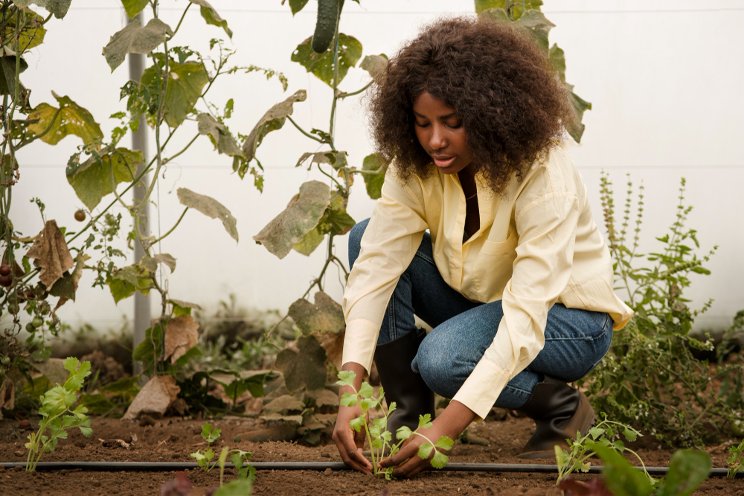 FSI enables small-scale growers to achieve 100% sustainability