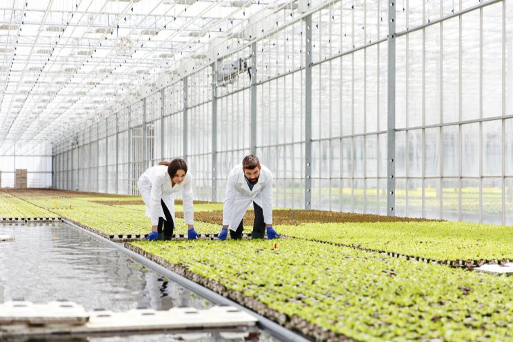 How indoor ag is still primed for growth