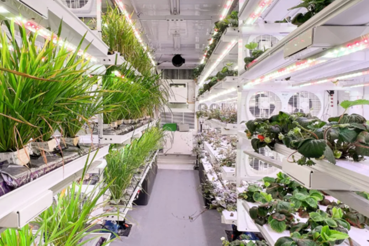 USDA contracts AmplifiedAg for VF research labs USDA contracts AmplifiedAg for VF research labs