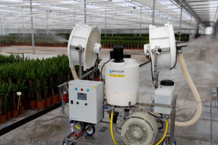 Koppert's Mycotal: Effective LVM application Koppert's Mycotal: Effective LVM application