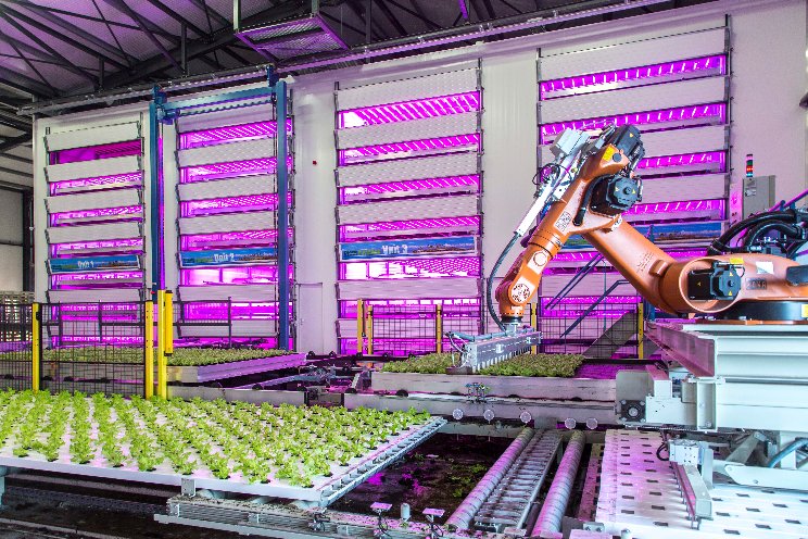 Signify shines new light on growth with data-driven lighting Signify shines new light on growth with data-driven lighting