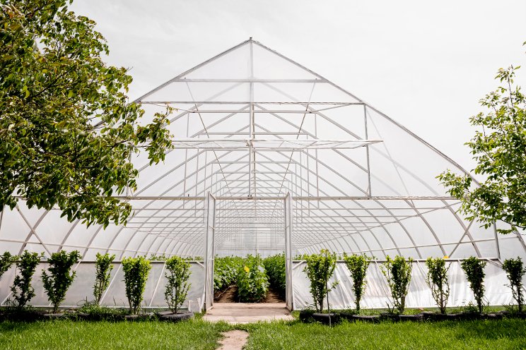 The architecture of greenhouses and their impacts