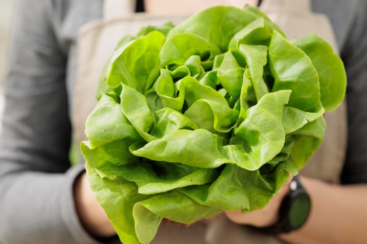 Bill amendment increases cost of Canadian food production Bill amendment increases cost of Canadian food production