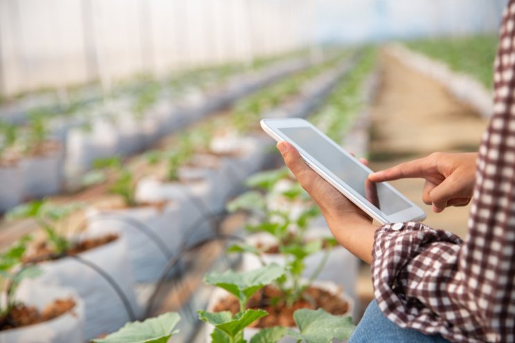 Embracing innovation for a brighter food future
