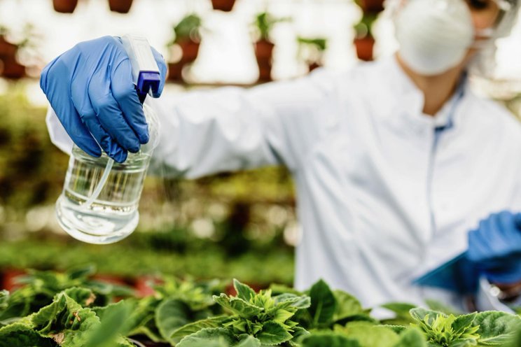 Lightning-based fertilizer tech could support farmers & climate