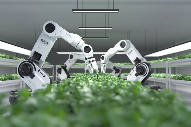 Using AI to breed the crops of the future