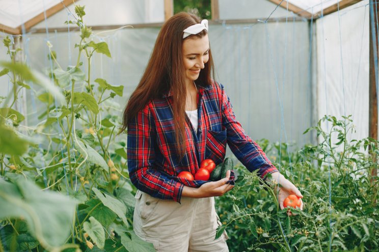 5 reasons to start your own greenhouse farm