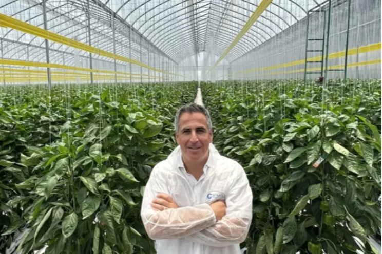 GreenV invests in Mexican market with GreenV Mexico