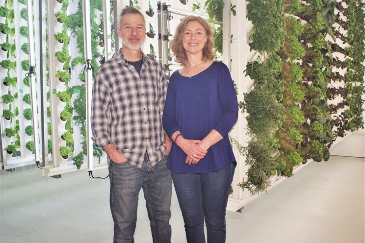 Vertical farming a local success