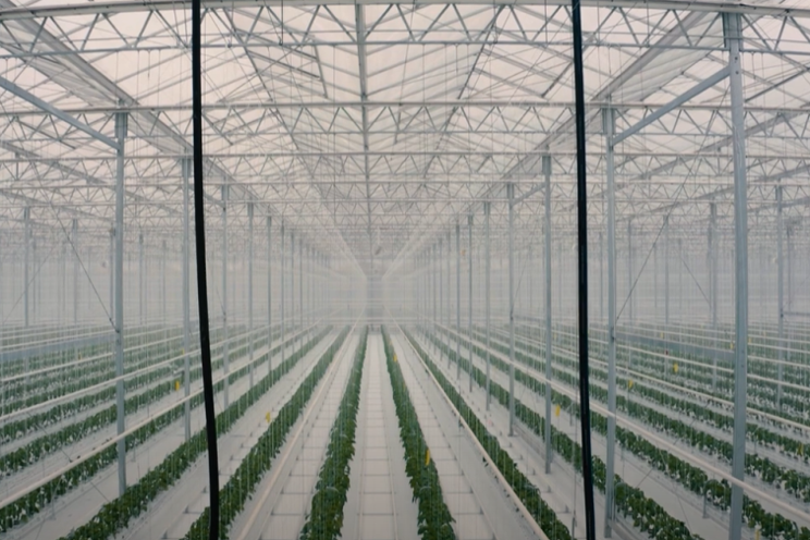 Mucci, Prospiant featured in documentary on food security Mucci, Prospiant featured in documentary on food security