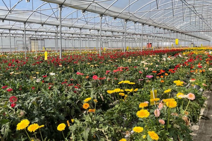 AIPH conference showcases Portugal's horticulture