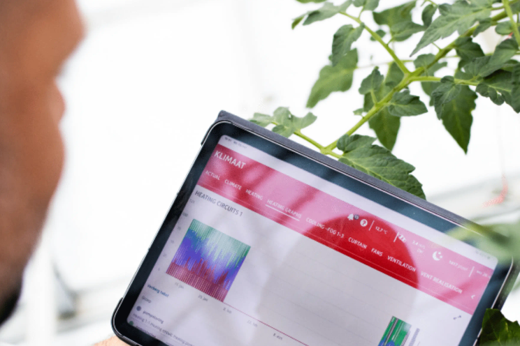 IIVO's intelligent revolution in horticulture IIVO's intelligent revolution in horticulture