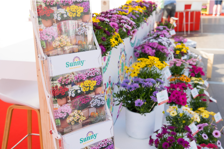Plenty of novelties and concepts during Beekenkamp Flower Trials Plenty of novelties and concepts during Beekenkamp Flower Trials