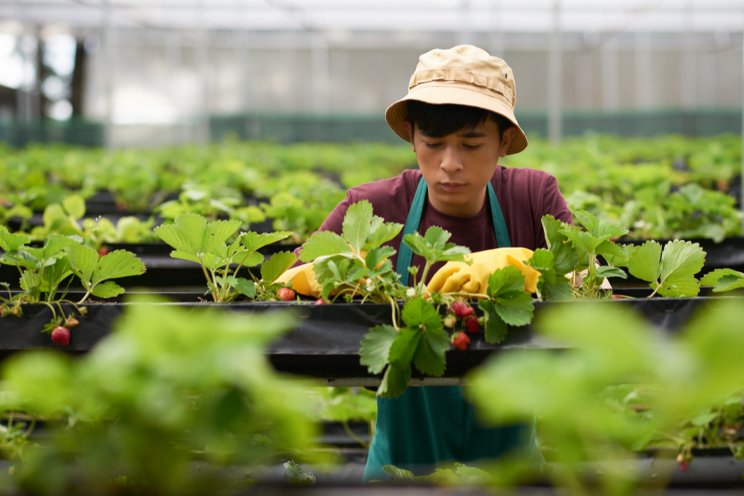 Big data tech empowers spring ploughing in Zunyi Big data tech empowers spring ploughing in Zunyi
