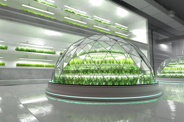 The effect of white LEDs on plant performance The effect of white LEDs on plant performance