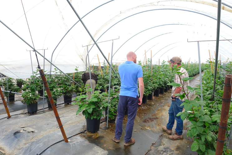 Priva partners with TriEst Ag Group Priva partners with TriEst Ag Group