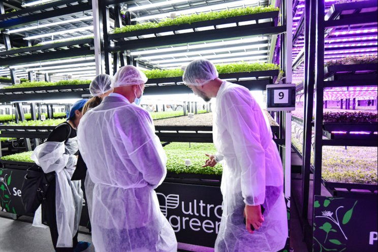 Vertical farms to feed the cities of the future