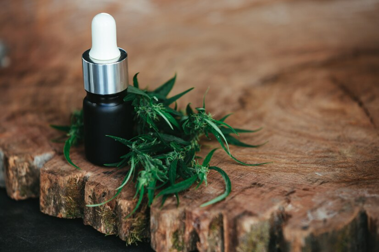The rise of THC in medical cannabis The rise of THC in medical cannabis