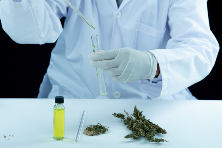 Health benefits of cannabis, according to experts Health benefits of cannabis, according to experts