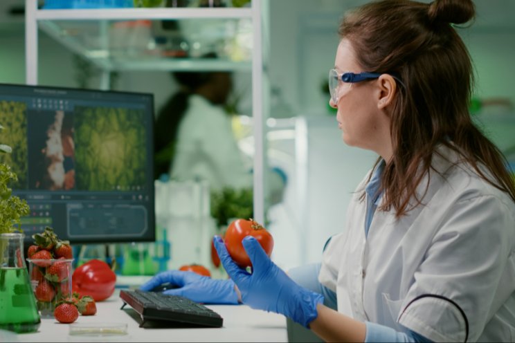 How gene-edited produce could transform the way Britain eats How gene-edited produce could transform the way Britain eats