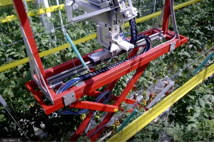 Arugga shipping first plant lowering robots in Europe Arugga shipping first plant lowering robots in Europe