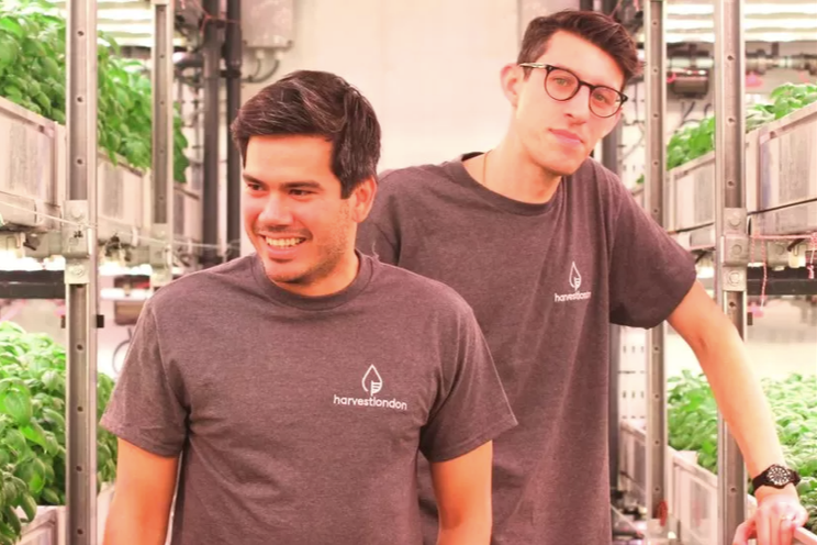 Lean times hit the vertical farming business Lean times hit the vertical farming business