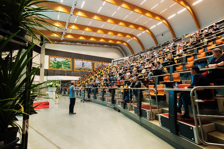 Dutch auction Plantion presents its multi-year strategic plan