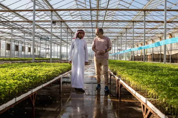 S. Arabia’s NEOM city enlists Dutch greenhouse company
