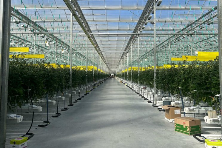 SOLLUM provides LED light solution for Ontario greenhouses SOLLUM provides LED light solution for Ontario greenhouses