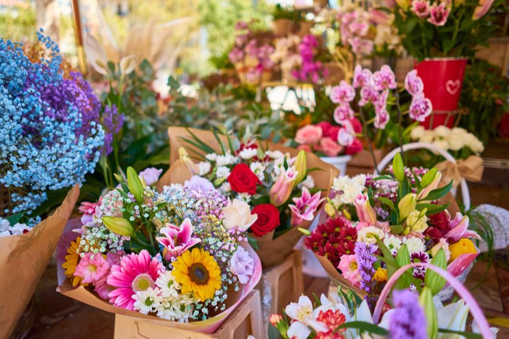 Flower Council of Holland launches new campaign Flower Council of Holland launches new campaign