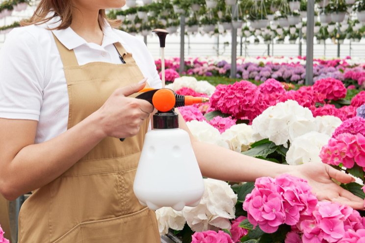 Canada approves microbial pest control agents Foretryx Canada approves microbial pest control agents Foretryx