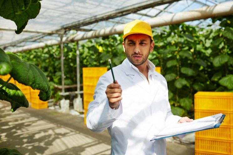 Advanced AI quadruples cucumber postharvest life Advanced AI quadruples cucumber postharvest life