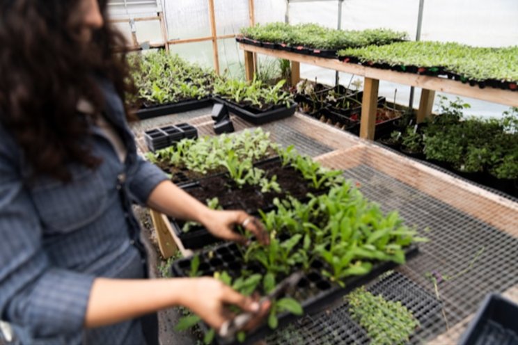 USDA to deliver second round of MASC payments USDA to deliver second round of MASC payments