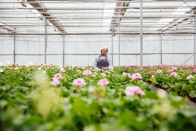 Your predictions for the greenhouse market in 2024