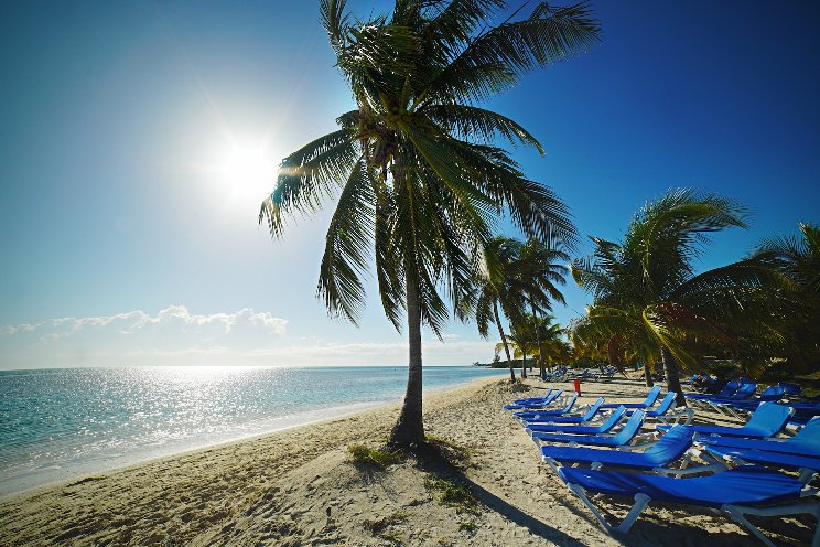 Bahamas looks to establish medical cannabis industry Bahamas looks to establish medical cannabis industry