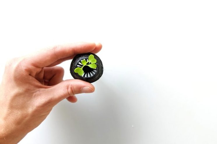 Sustainable substrate solutions for CEA