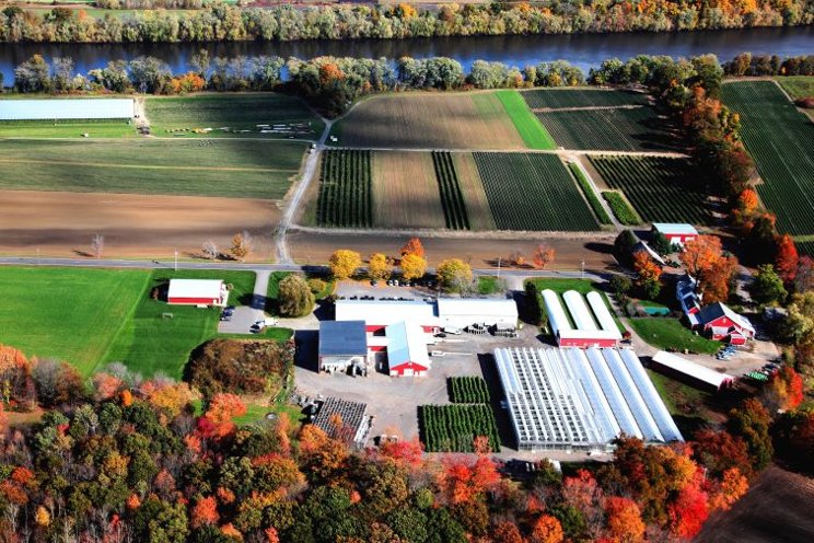 Berry Grower Nourse Farms' new greenhouse facilities
