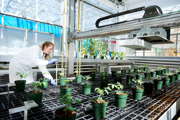 Three ways Vineland is innovating the horti world
Three ways Vineland is innovating the horti world