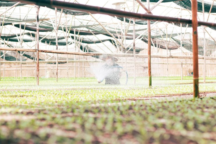 Farming a better future: Agri can help fix society's ills Farming a better future: Agri can help fix society's ills