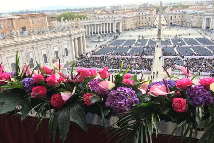 Dutch flowers in St. Peter’s Square in Rome Dutch flowers in St. Peter’s Square in Rome