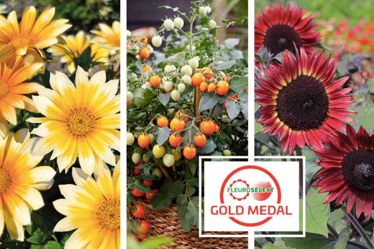 Discover the new Gold Medal winners! Discover the new Gold Medal winners!